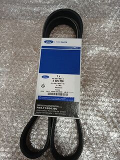 Пас привідний